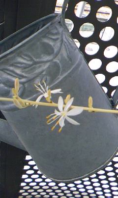 c0191985_1646234.jpg