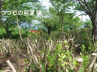 f0053885_22152425.jpg