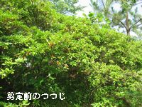 f0053885_2215929.jpg