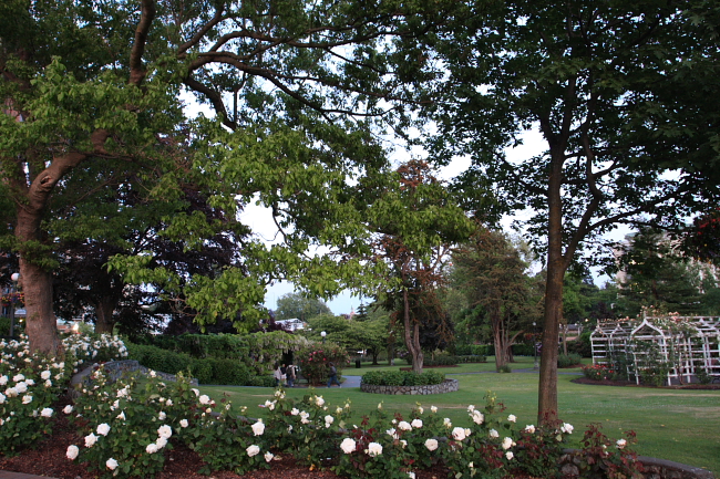 c0130986_745924.jpg