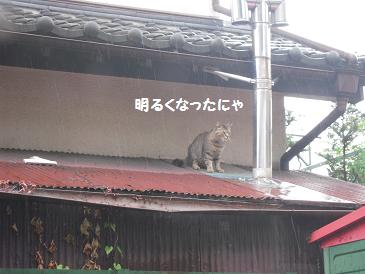 ちょっと　雨宿り_c0139488_11375143.jpg