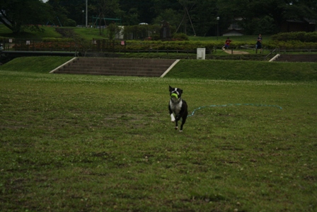 c0189890_21234048.jpg