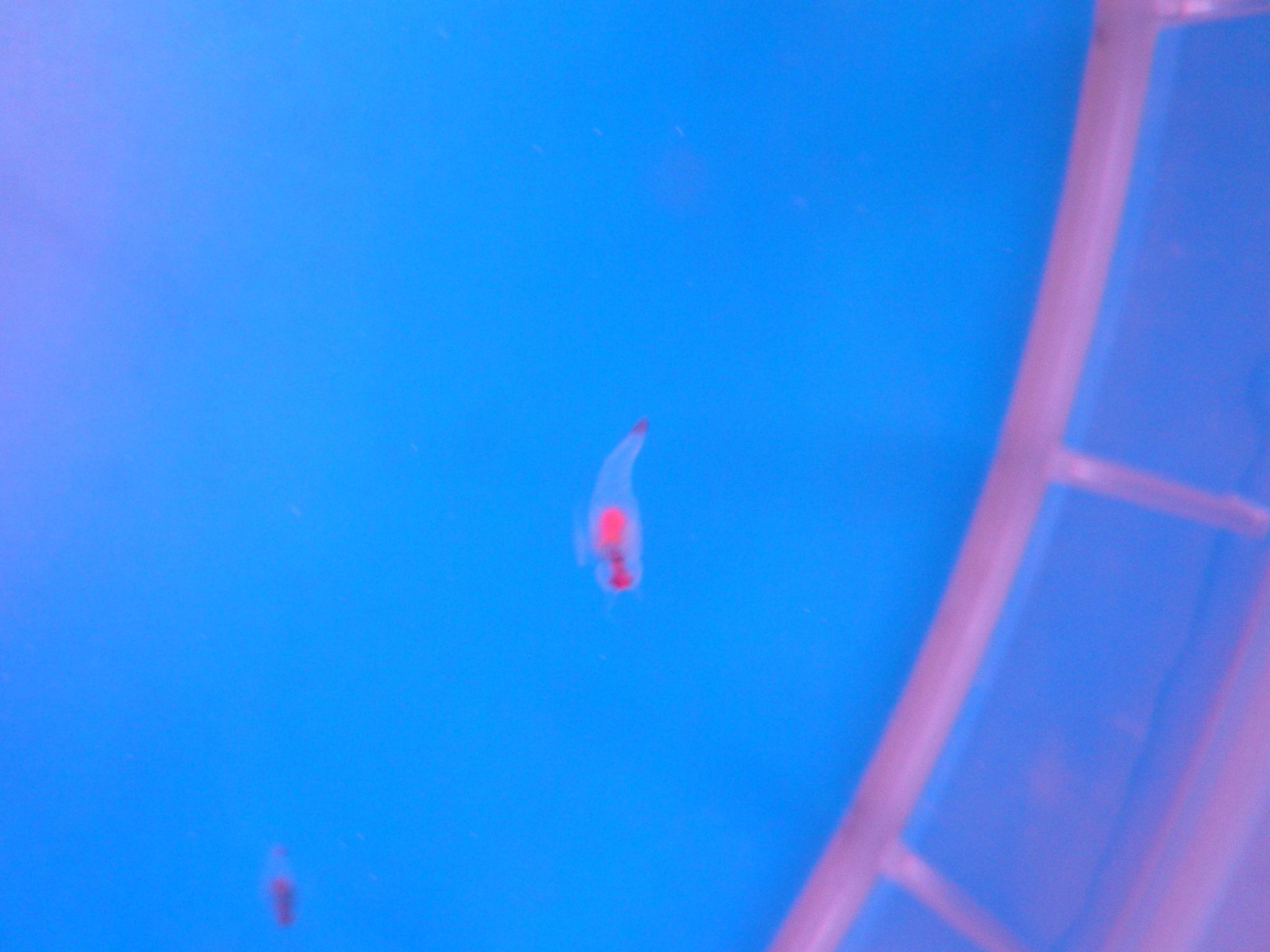 b0028598_19434435.jpg
