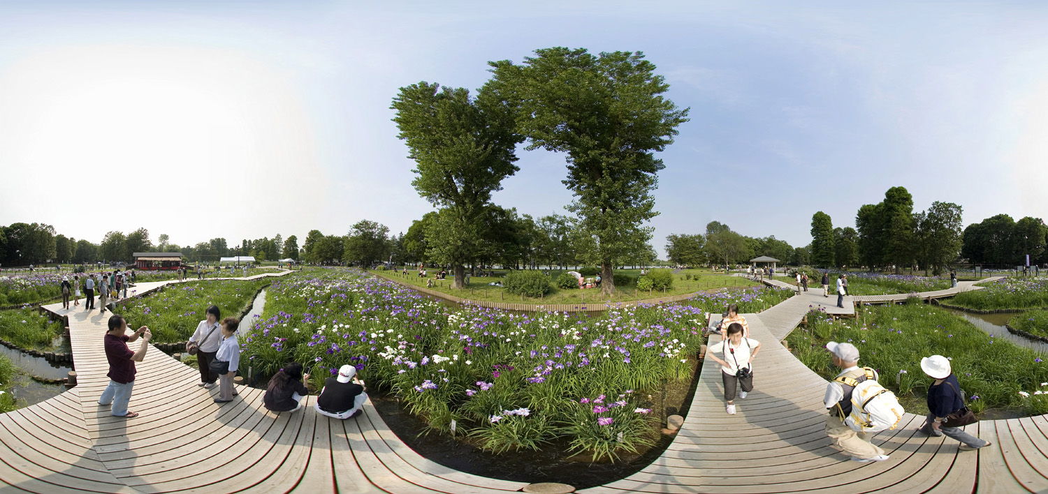 Mizumoto Park,Katsushika Shobu Matsuri 水元公園の葛飾菖蒲祭_d0108602_14262261.jpg