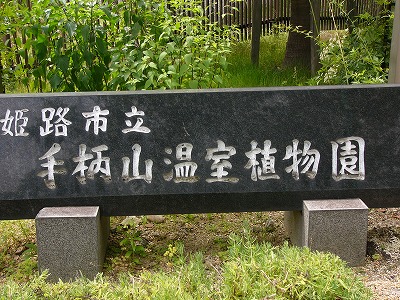 a0123003_17521759.jpg