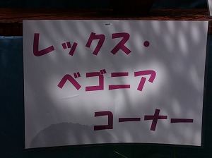 a0123003_1833886.jpg
