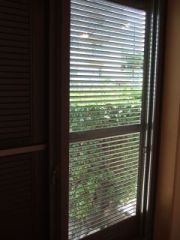 桜の巨木を眺める家 part13_d0041124_1225188.jpg