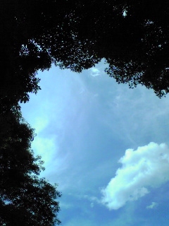d0060425_21555727.jpg