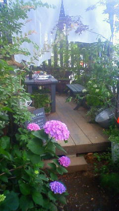 BAR 番長 紫陽花の宴_c0102228_12143976.jpg