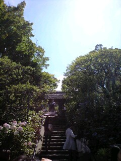 北鎌倉へ_b0159631_1301825.jpg