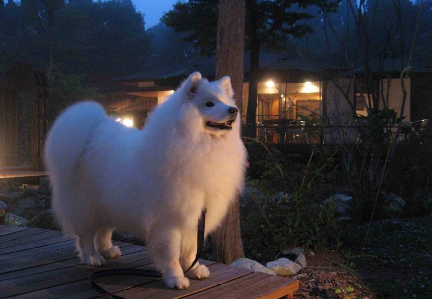 六甲山に上がったよ~_b0177436_2247182.jpg