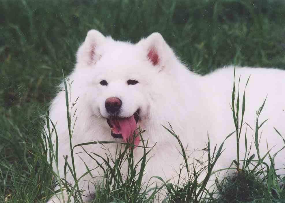 六甲山に上がったよ~_b0177436_22504637.jpg