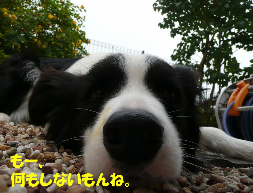 c0147241_23224195.jpg