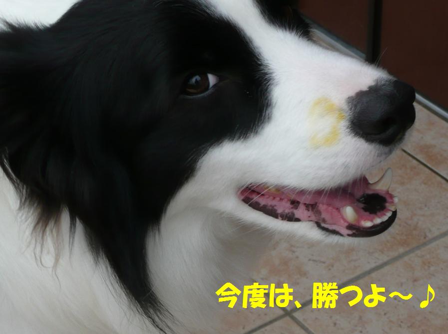 c0147241_23225036.jpg