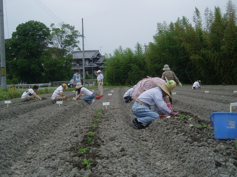 昨日は吉川方面に　夢を植えてきました_c0107149_6371736.jpg