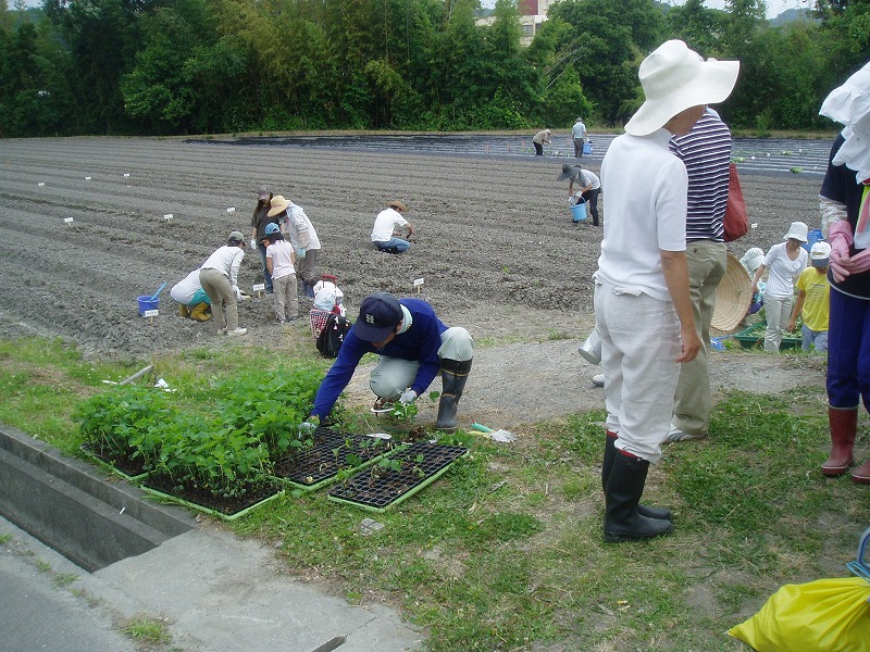 昨日は吉川方面に 夢を植えてきました_c0107149_643924.jpg