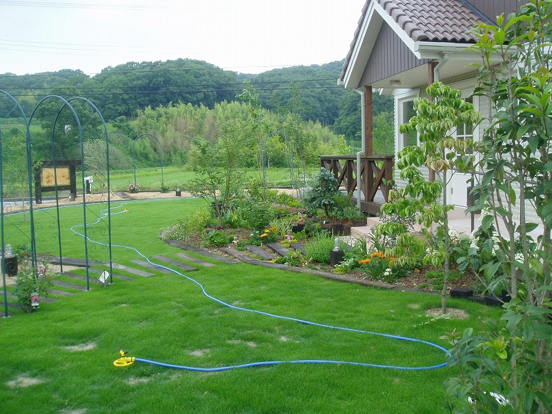 昨日は吉川方面に　夢を植えてきました_c0107149_7172.jpg