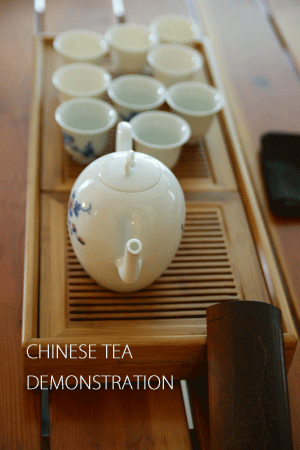 LIVING PHOTO LESSON6_e0158653_2240162.gif