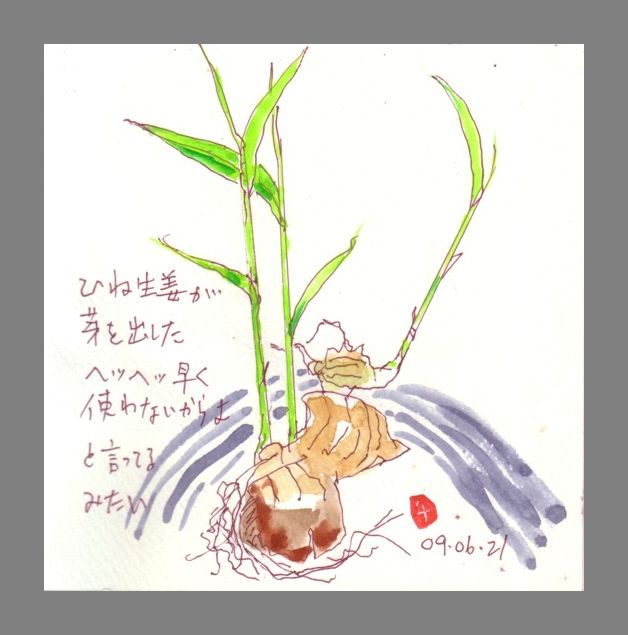 芽が出た！_e0074955_1943457.jpg