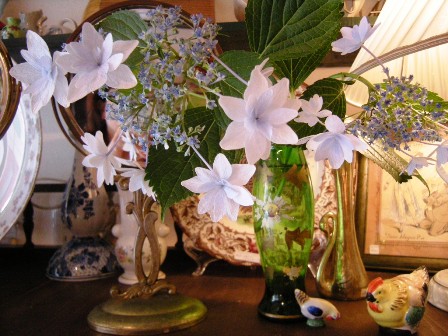額紫陽花_f0196455_1765471.jpg