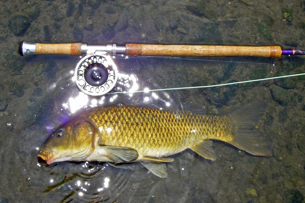 a0130057_03680.jpg