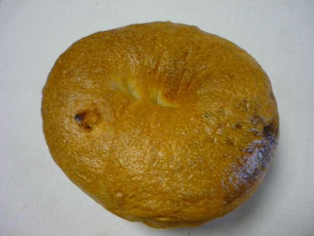 Coharu*bagel_f0157358_171922.jpg