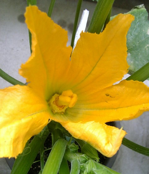 c0115560_1005128.jpg