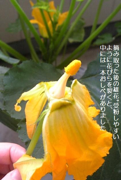 c0115560_9584057.jpg