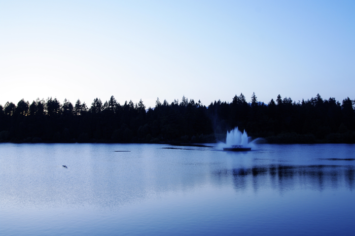 Vancouver : Lost Lagoon  ロスト・ラグーン_e0082860_1540596.jpg