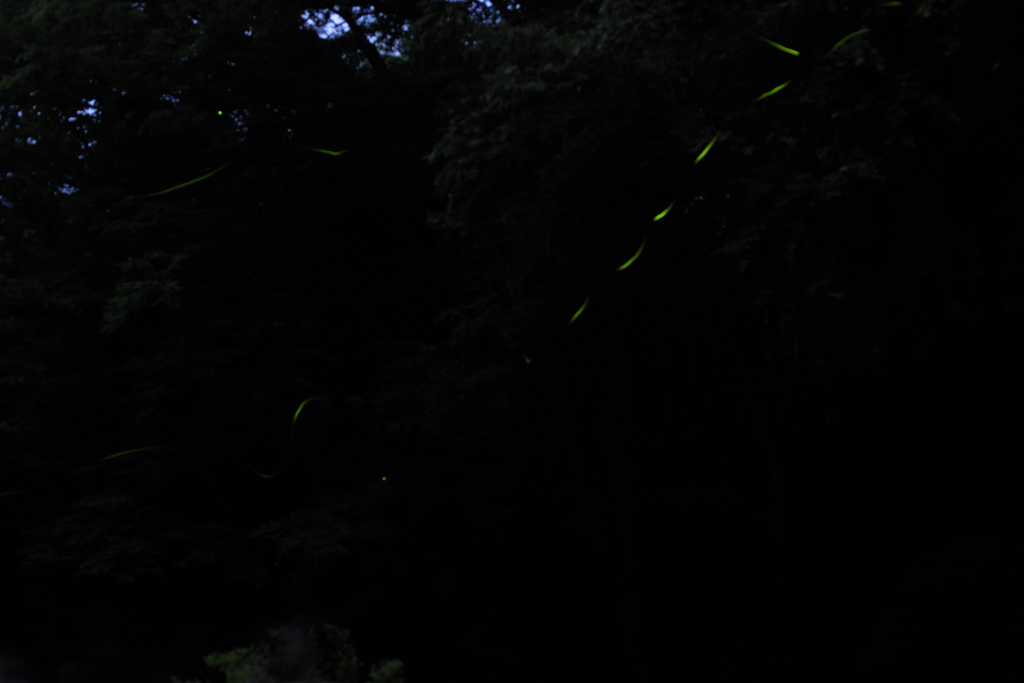 f0171065_16143690.jpg