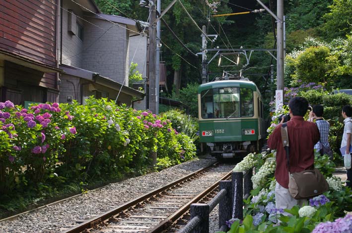 北鎌倉&鎌倉アジサイ便り(2009・6・20)_c0014967_1244181.jpg