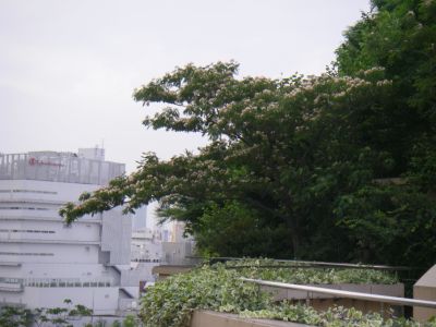 e0143671_1664679.jpg