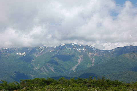 赤兎山の山野草_c0022275_21101985.jpg