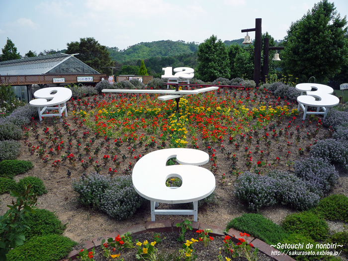 世羅町 香山ラベンダーの丘 瀬戸内でのんびり