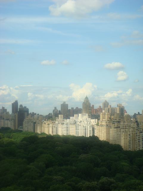 d0100880_8455951.jpg