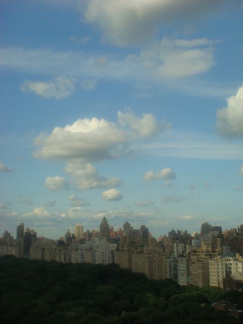 d0100880_848435.jpg