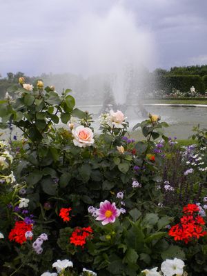 b0181081_53245.jpg