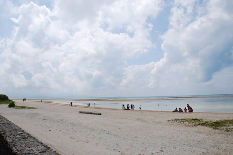 f0080385_8534485.jpg