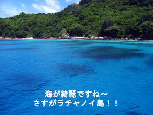 ラチャノイ・ラチャヤイ3ダイブ! ダイビング最高!!_f0144385_1954396.jpg