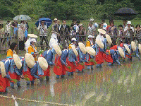 c0078592_21382237.gif