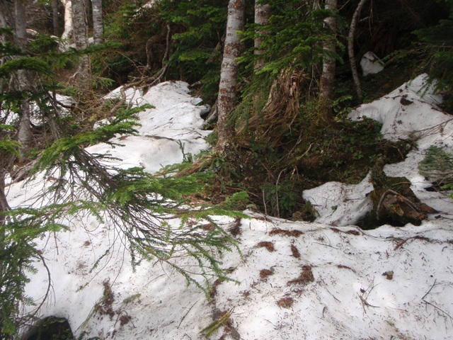 c0147398_2214134.jpg