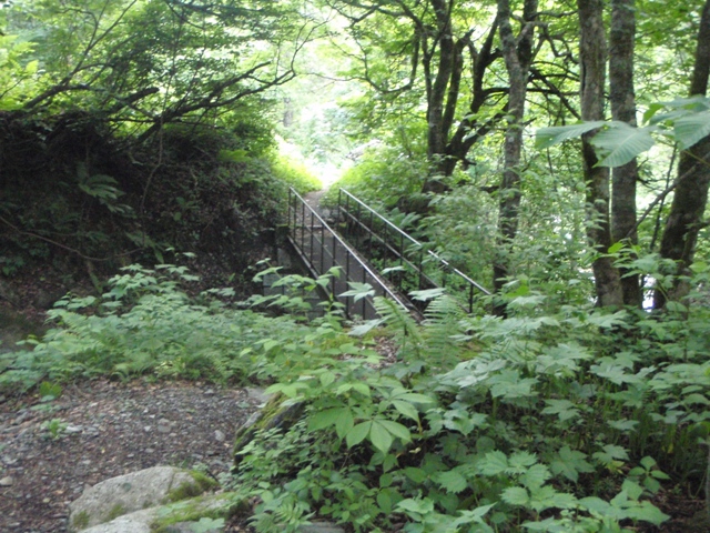 c0147398_2219023.jpg