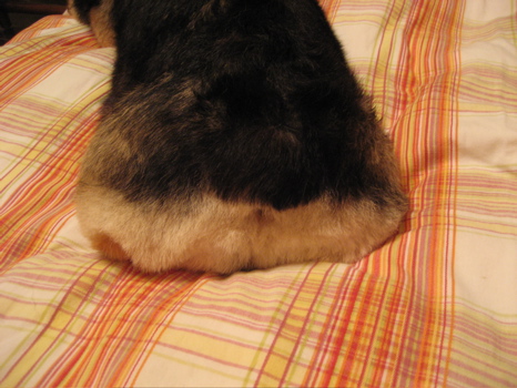 e0123299_13426.jpg