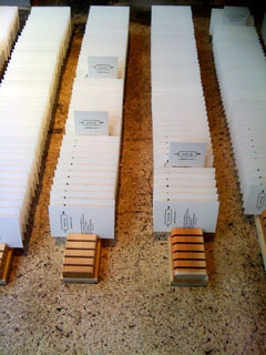 e0098202_1744423.jpg