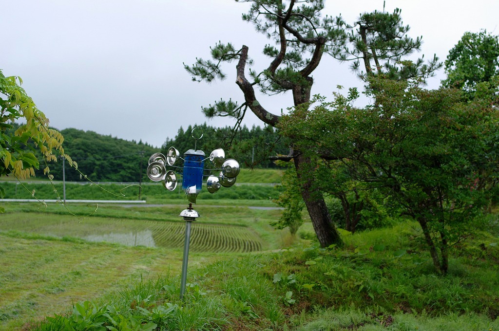 f0138305_20252096.jpg