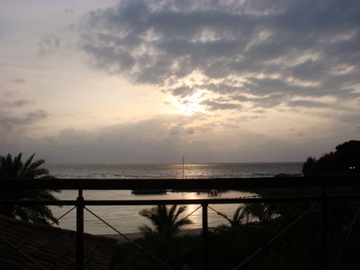 b0139906_1463987.jpg