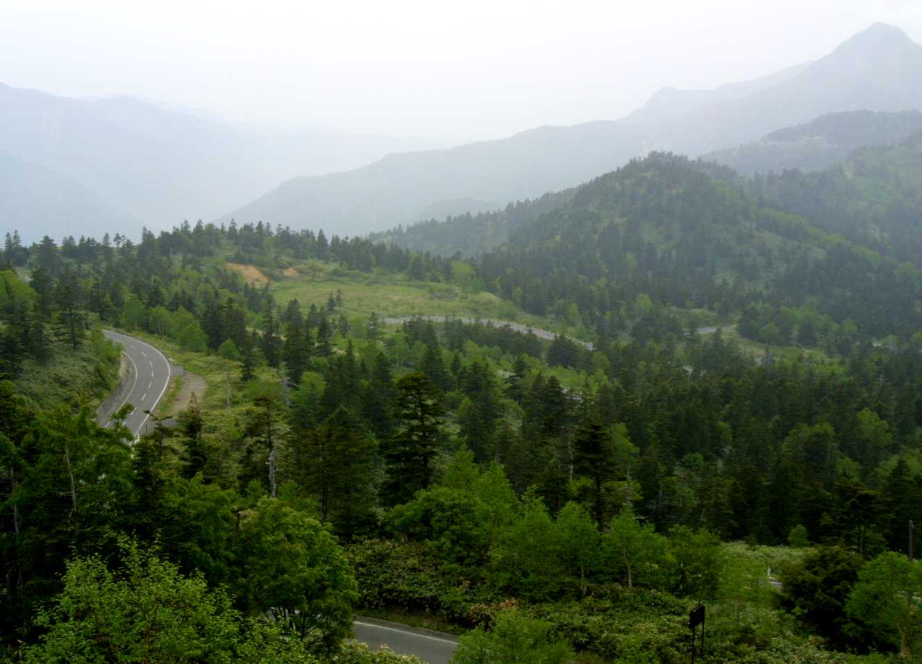 d0140806_1018563.jpg