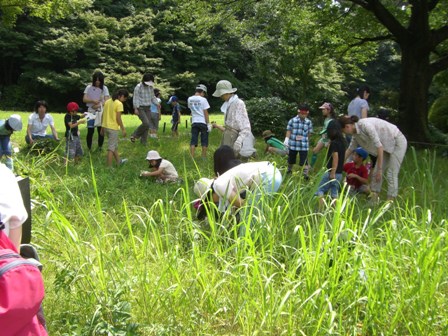 草と遊ぼう~草リンピック~_b0049307_1518377.jpg