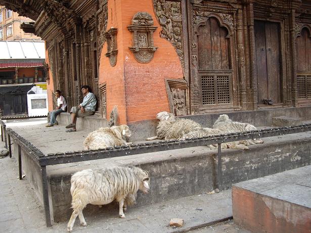 From Nepal 日記 <生活> _f0042307_1655449.jpg
