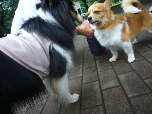 e0130008_18563572.jpg